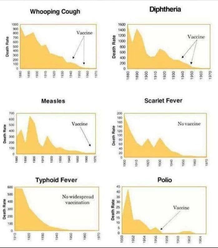 are-all-vaccines-pseudo-science-covid-19-fake-virus-fake-news-lucas-daniel-smith