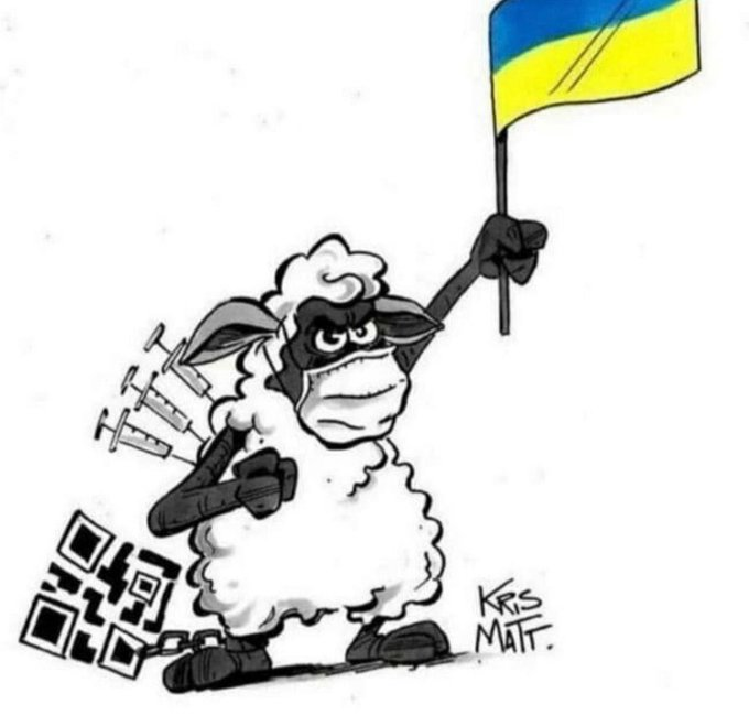 citizens-of-the-new-world-order-vaxed-sheep-people-support-ukraine-20222