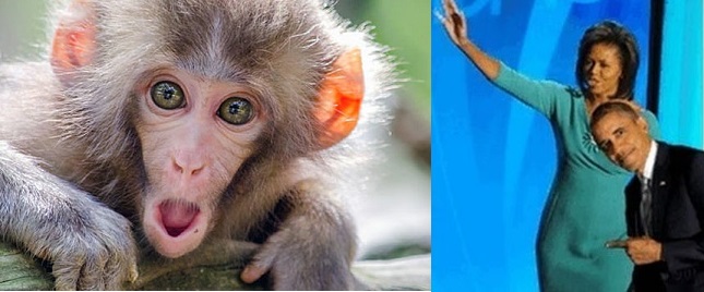 ATTACHMENT DETAILS  obama-and-other-gay-or-bisexual-men-are-more-at-risk-for-monkeypox-monkey-pox-2022-lucas-daniel-smith