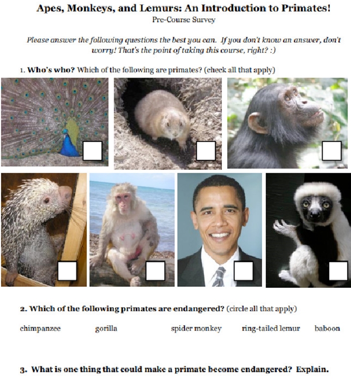 obama-monkey-face-ape-school-assignment-michigan-2022-lucas-daniel-smith