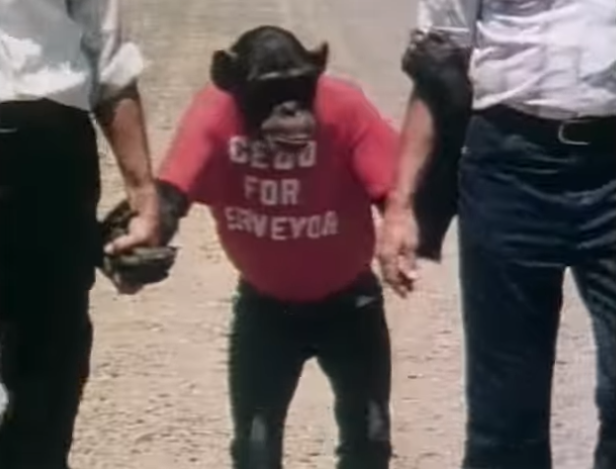 cedo-the-chimpanzee-mississippi-eligibility-issues